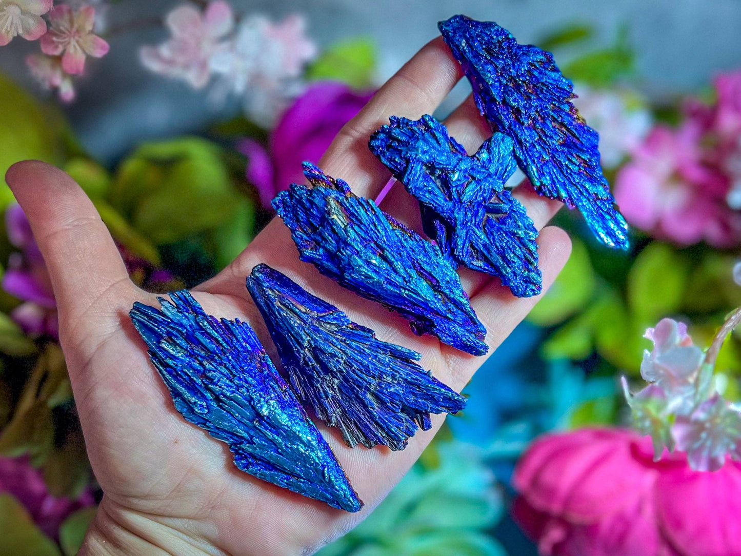 Blue Aura Kyanite Fans, Crystals and Stones: 10-19 grams