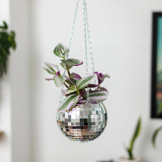 Disco Ball Hanging Planter (6in)