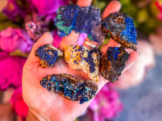 Raw Azurite Clusters from Morocco: 25-49 grams